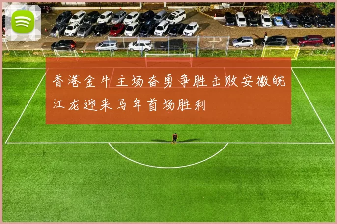 香港金牛主场奋勇争胜击败安徽皖江龙迎来马年首场胜利