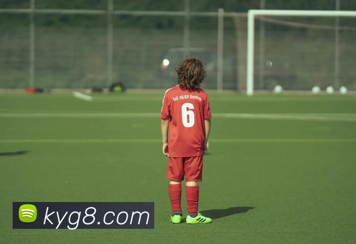 开云棋牌平台生态图